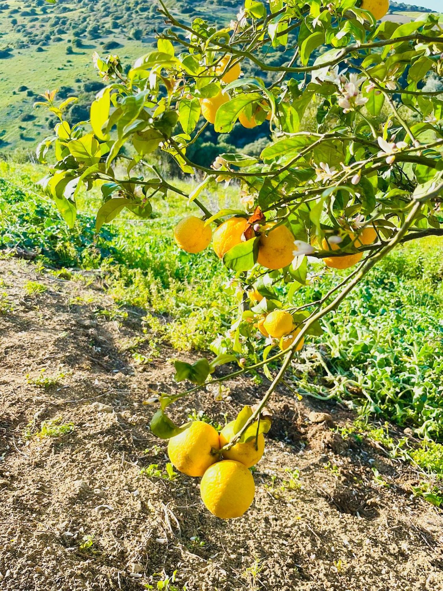 Finca La Vina مْبيخير ذي لا فرونتيرا المظهر الخارجي الصورة