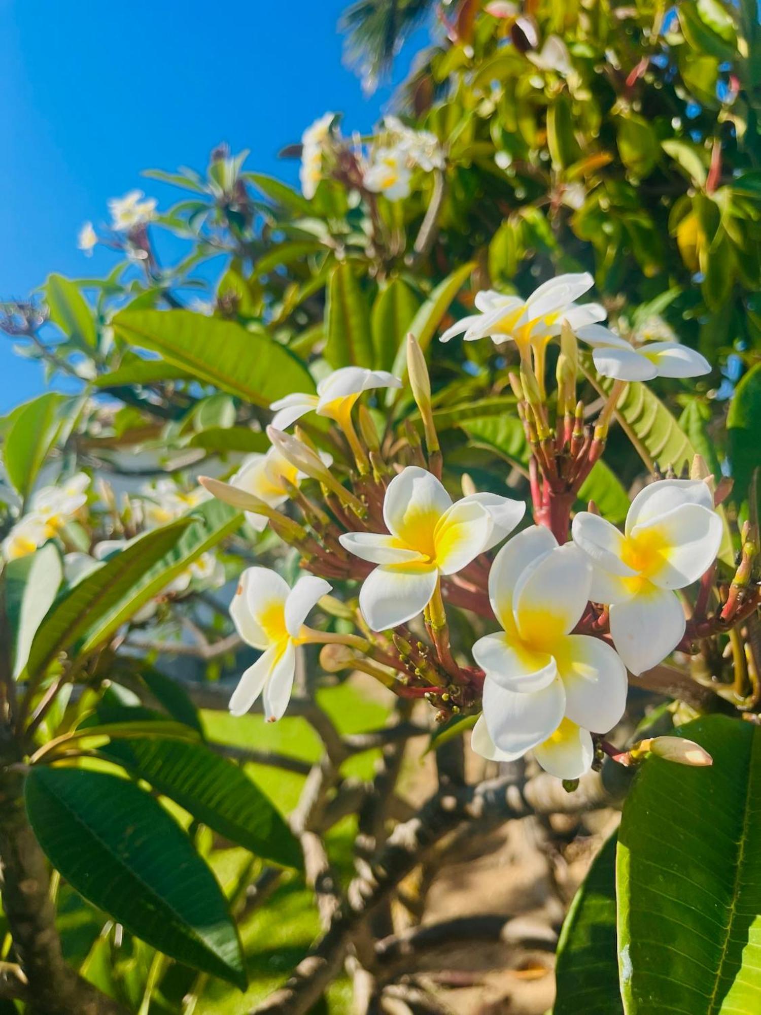Finca La Vina مْبيخير ذي لا فرونتيرا المظهر الخارجي الصورة