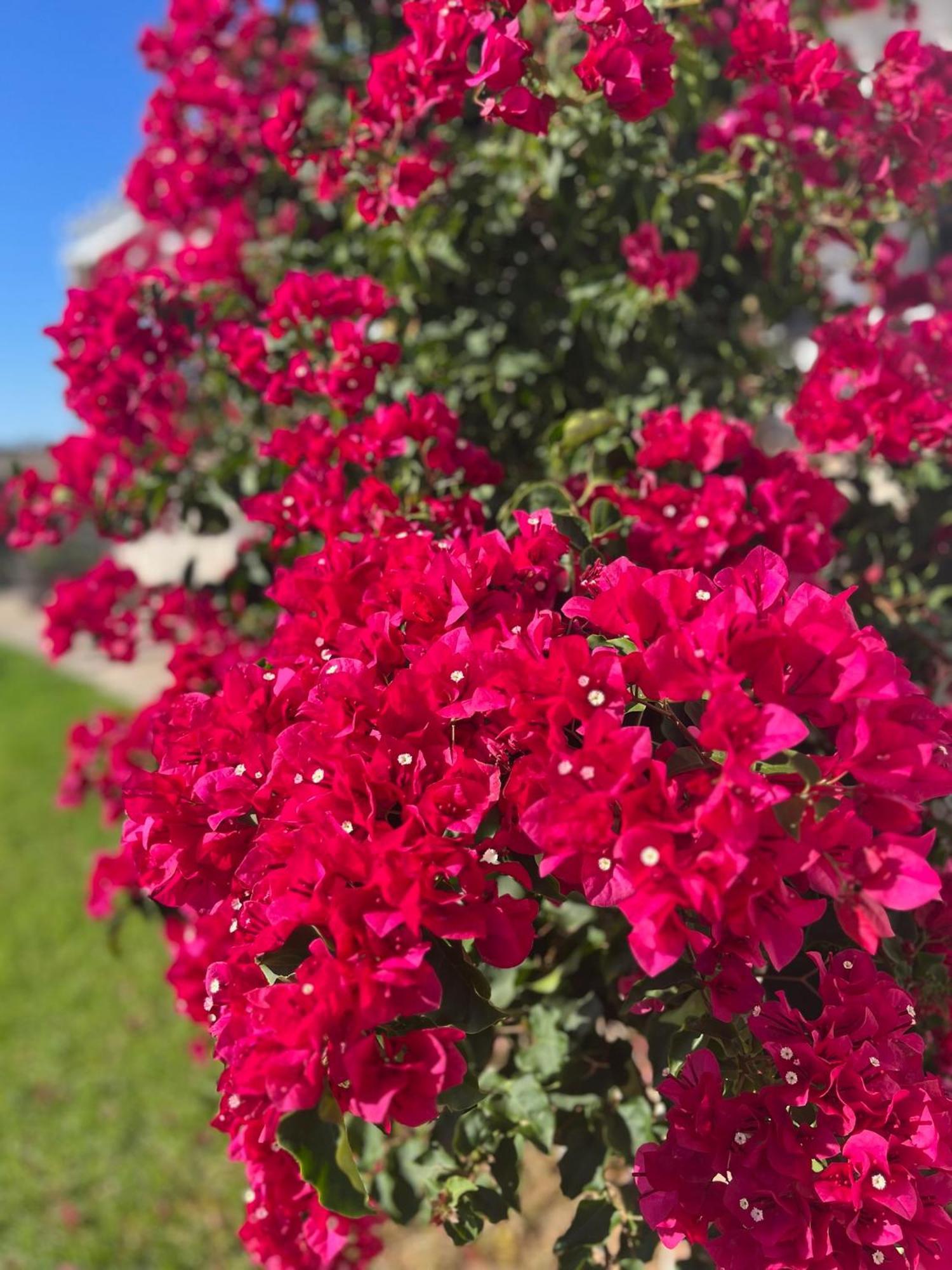 Finca La Vina مْبيخير ذي لا فرونتيرا المظهر الخارجي الصورة